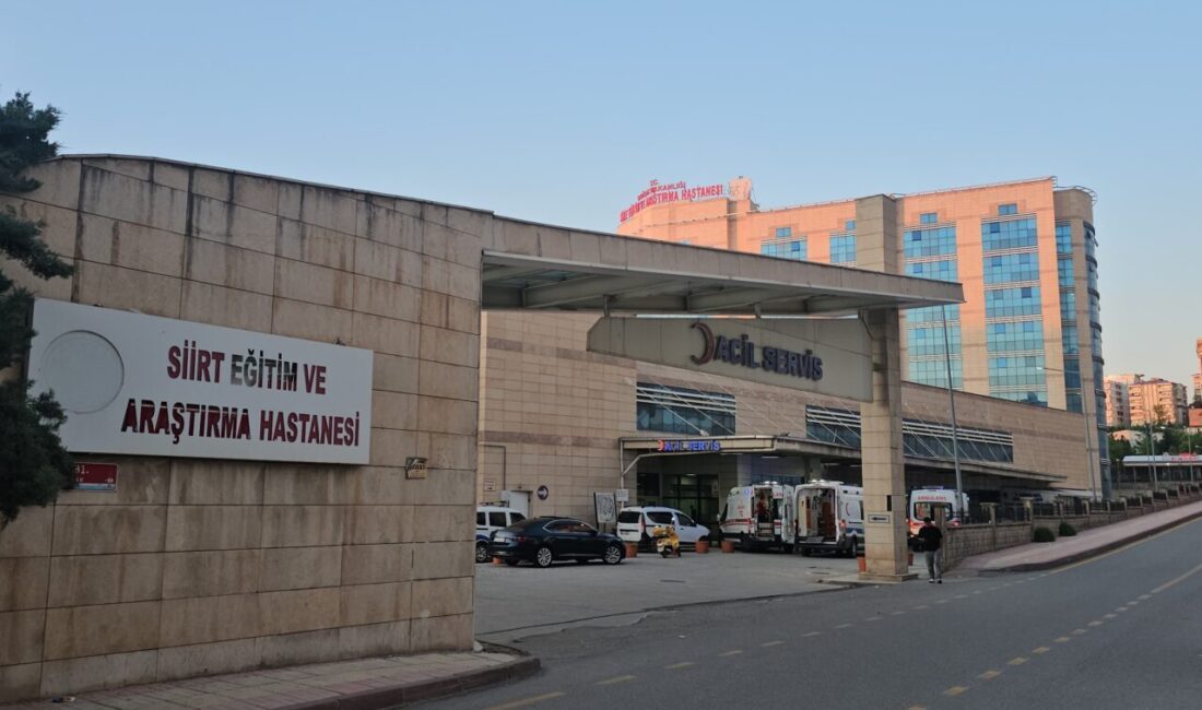 SİİRT (AA) – Siirt'in Eruh ilçesinde çıkan taşlı sopalı kavgada