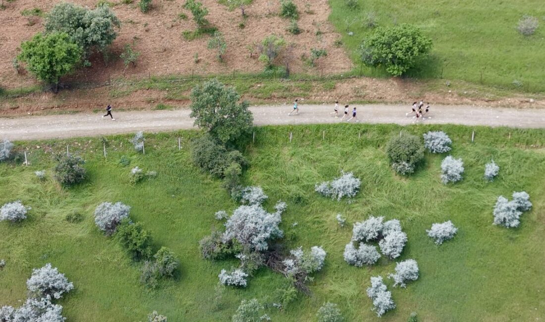 - 16 ilden gelen 100 sporcu, milli forma için mücadele