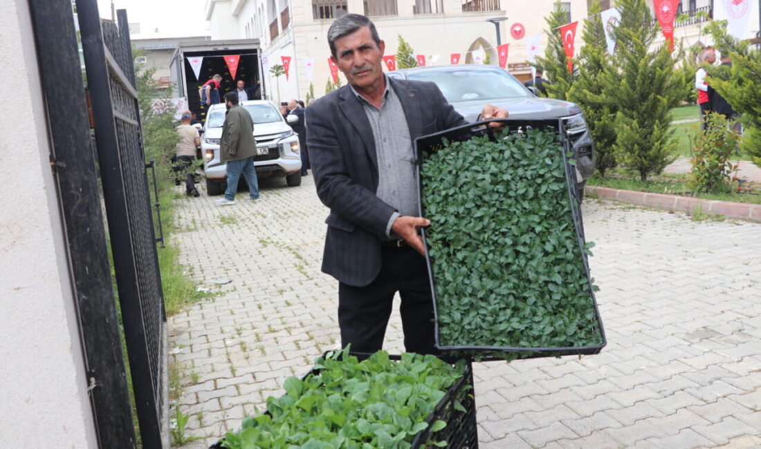 SİİRT (AA) – Siirt'te üreticilere yüzde 75 hibe destekli 60
