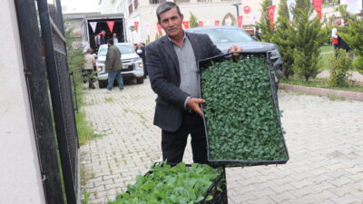 SİİRT (AA) – Siirt'te üreticilere yüzde 75 hibe destekli 60