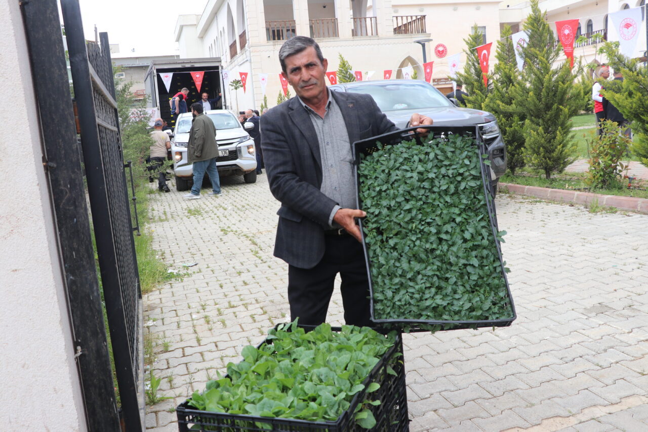 SİİRT (AA) – Siirt'te üreticilere yüzde 75 hibe destekli 60