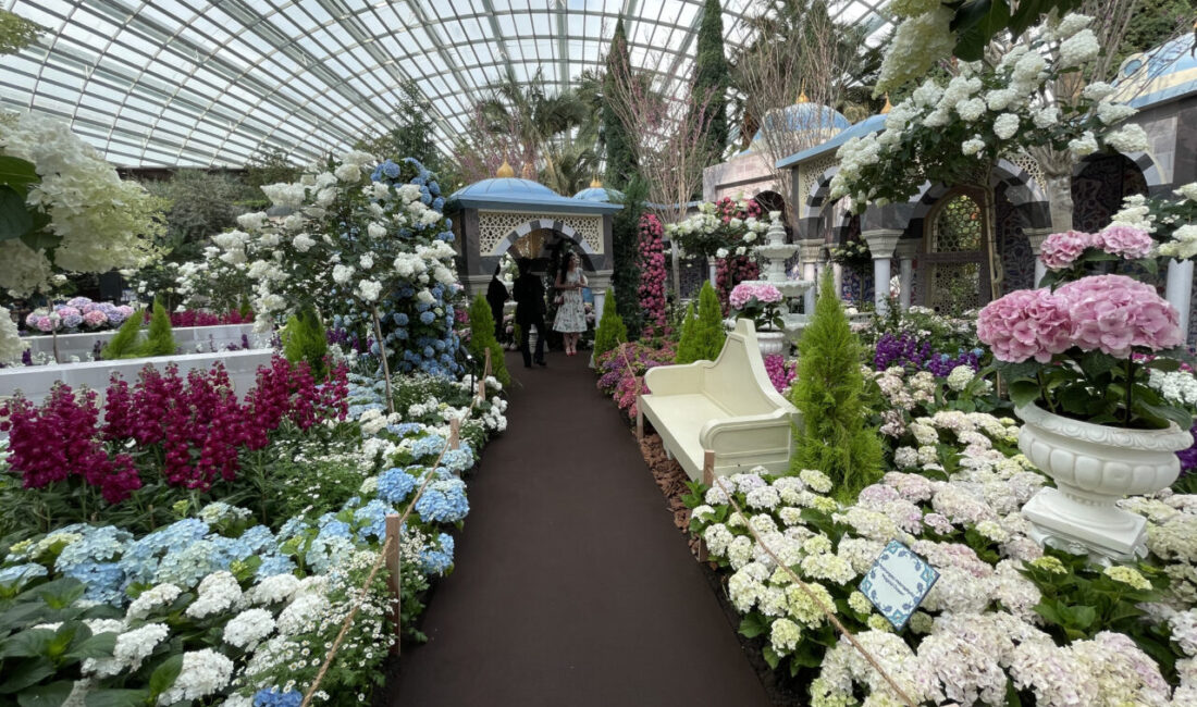 SİNGAPUR (AA) – Singapur'un dünyaca ünlü kamu parklarından "Gardens by