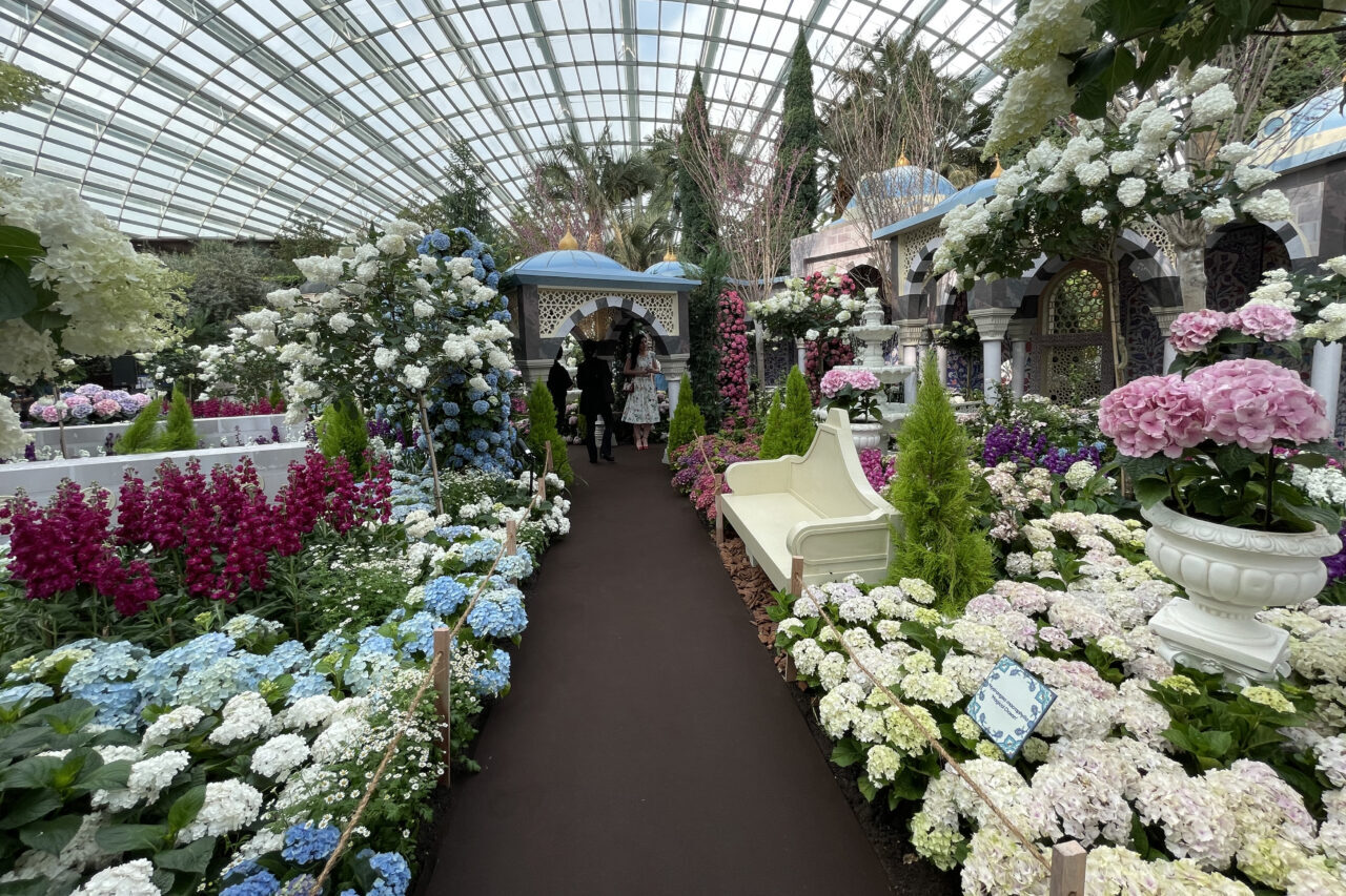 SİNGAPUR (AA) – Singapur'un dünyaca ünlü kamu parklarından "Gardens by