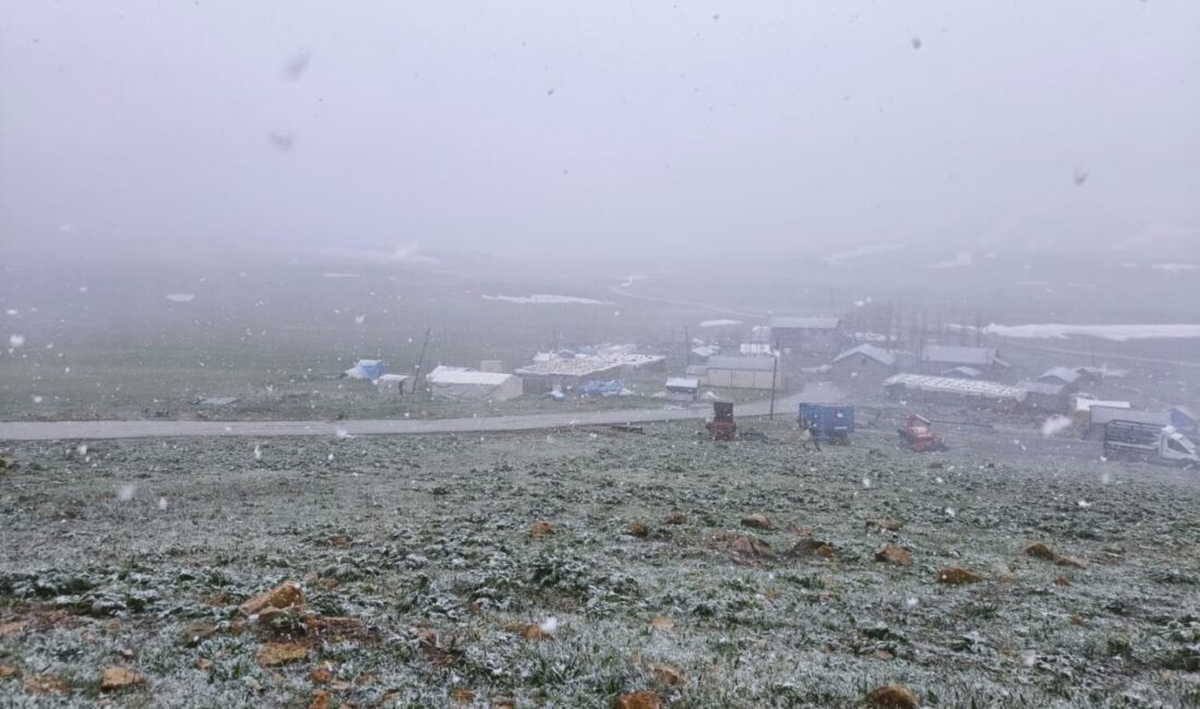 ŞIRNAK (AA) – Şırnak'ın Beytüşşebap ilçesinde ilkbaharın son günlerinde kar