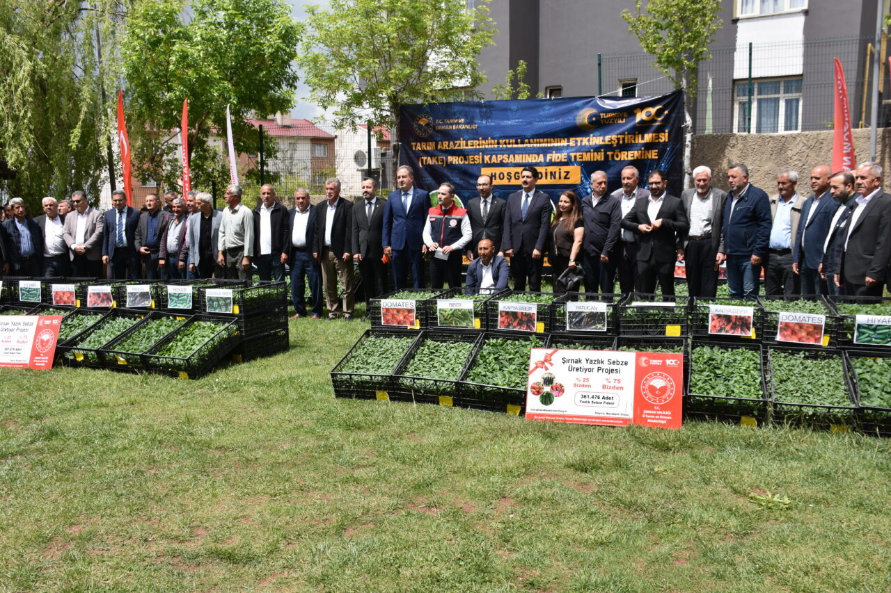 ŞIRNAK (AA) – Şırnak'ta üreticilere 361 bin 476 mevsimlik sebze