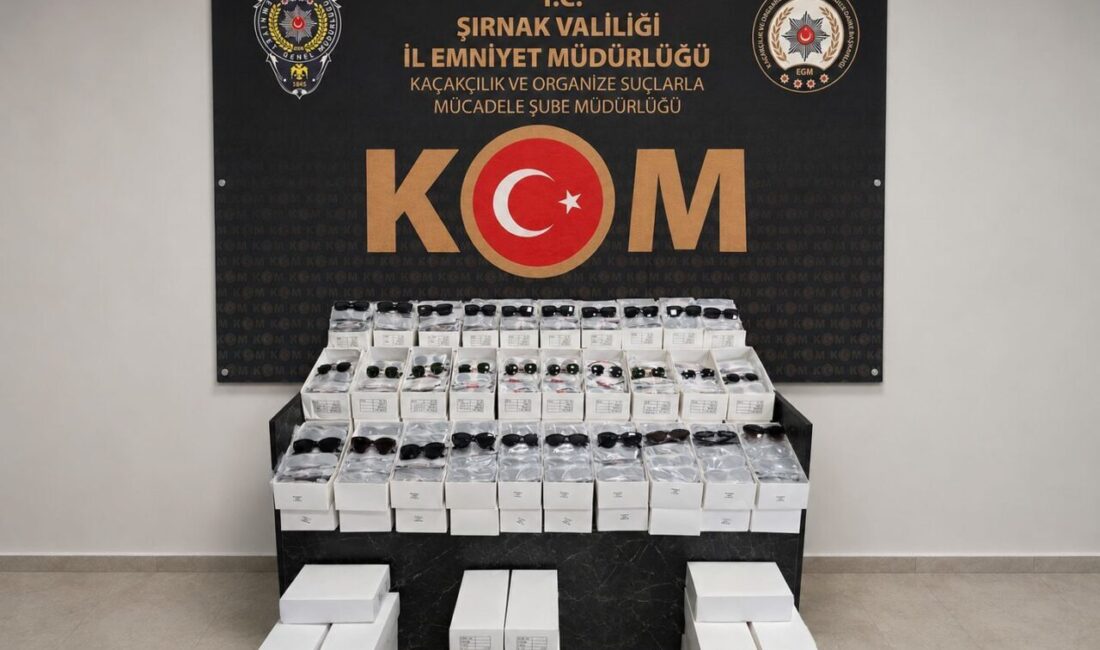 ŞIRNAK (AA) – Şırnak'ta düzenlenen kaçakçılık operasyonunda gözaltına alınan 1