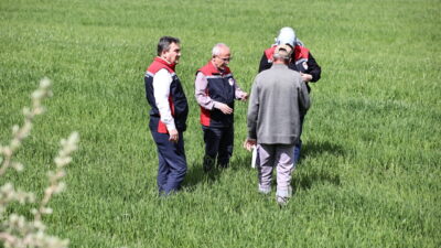 SİVAS (AA) – Sivas Valiliği, çiftçilere buğdaydaki sarı pas hastalığına