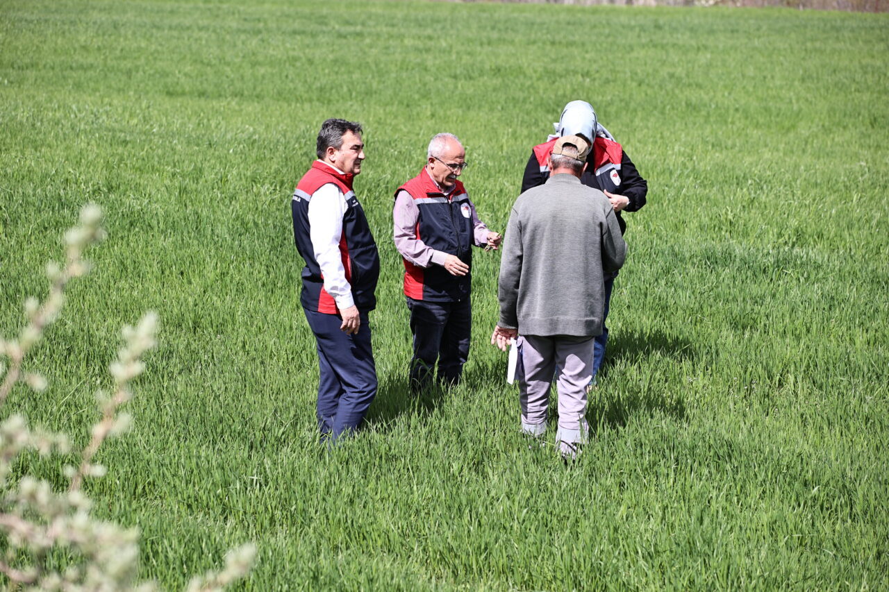 SİVAS (AA) – Sivas Valiliği, çiftçilere buğdaydaki sarı pas hastalığına