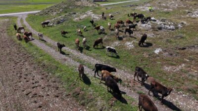 SİVAS (AA) – Türkiye'nin uluslararası öneme sahip 135 sulak alanından