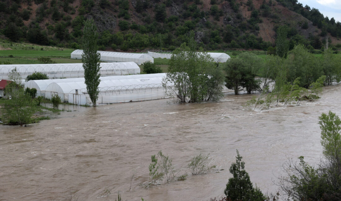 SİVAS (AA) – Sivas'ta Kelkit Nehri'nin yatağından taşmasıyla Akçağıl Köprüsü