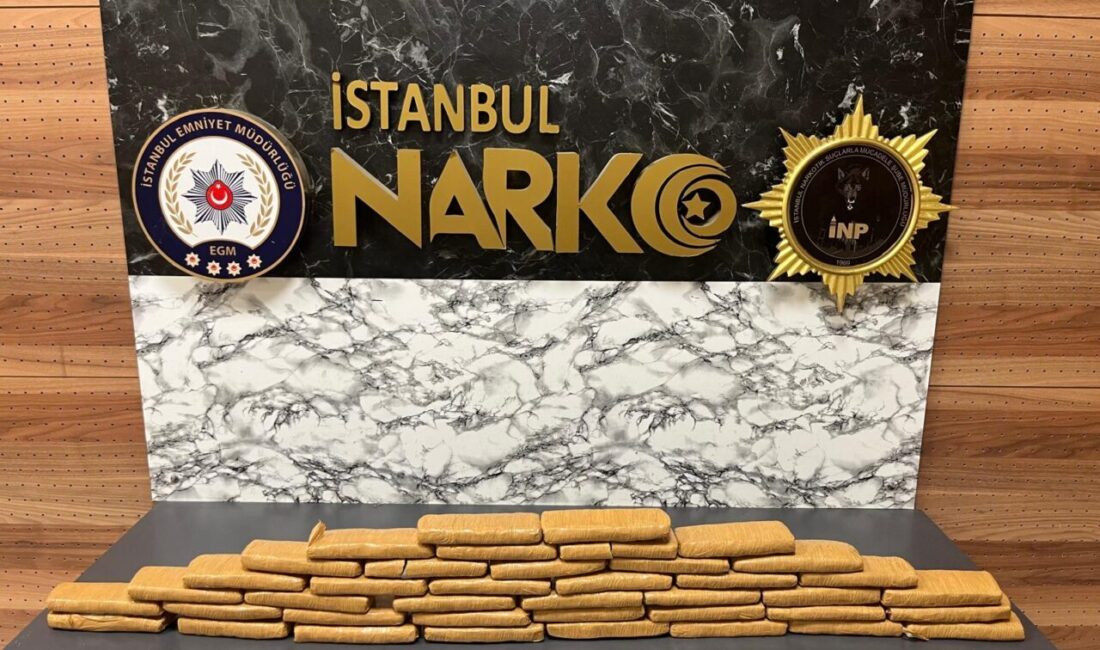 İSTANBUL (AA) – Sultanbeyli'de bir eve düzenlenen operasyonda 17 kilogram