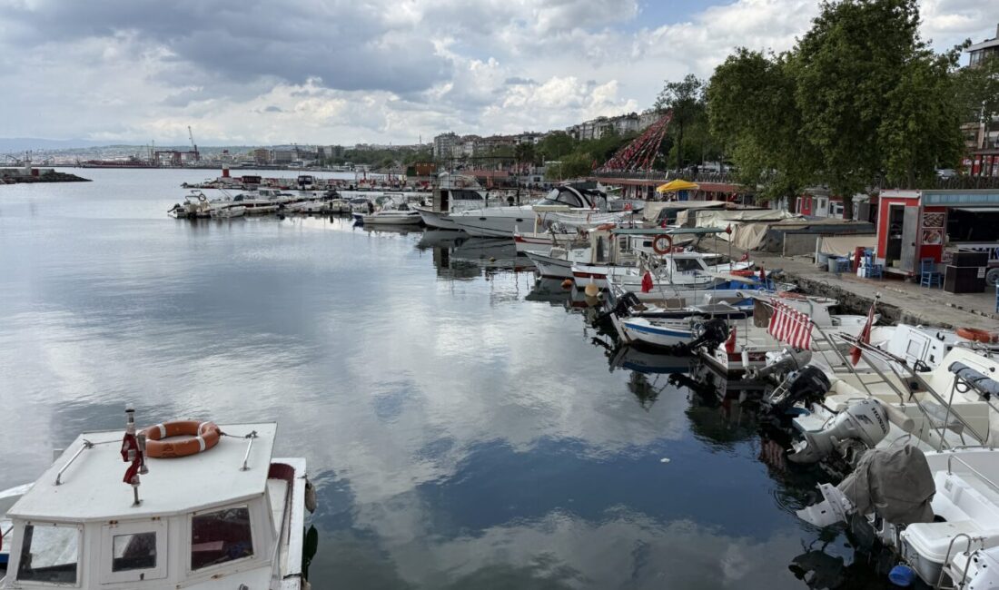 TEKİRDAĞ (AA) – Tekirdağ'da küçük tekneyle denize açılan balıkçıların avladığı