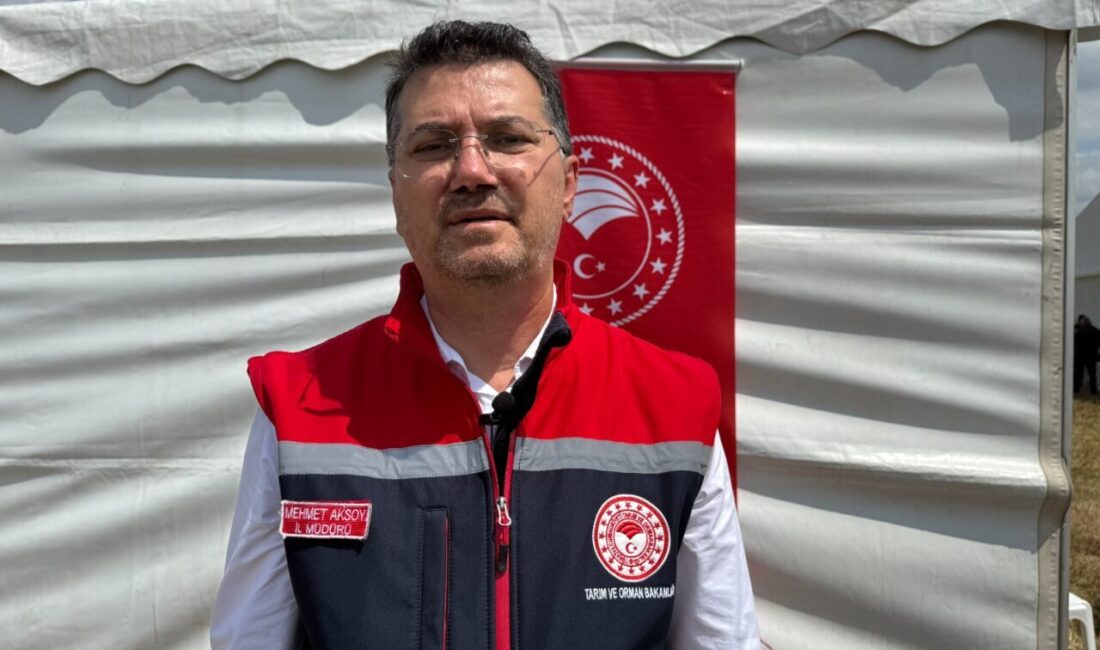 TEKİRDAĞ (AA) – Tekirdağ'da son dönemde etkili olan yağışlar, kanola