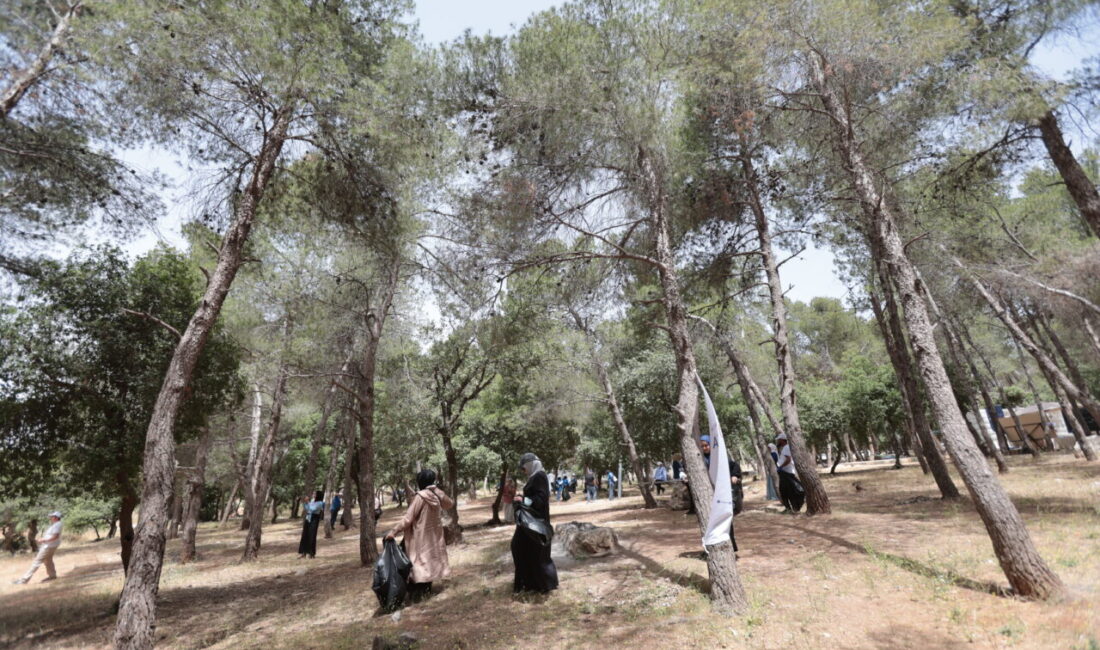 - Etkinlik kapsamında atık toplama çalışmaları yapıldı, geri dönüşüm atölyesi