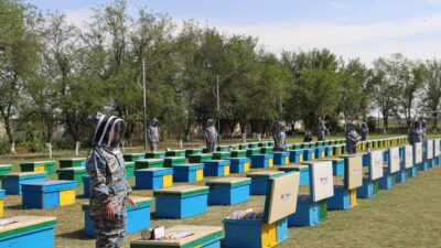 TAŞKENT (AA) – Türk İşbirliği ve Koordinasyon Ajansı Başkanlığı (TİKA),