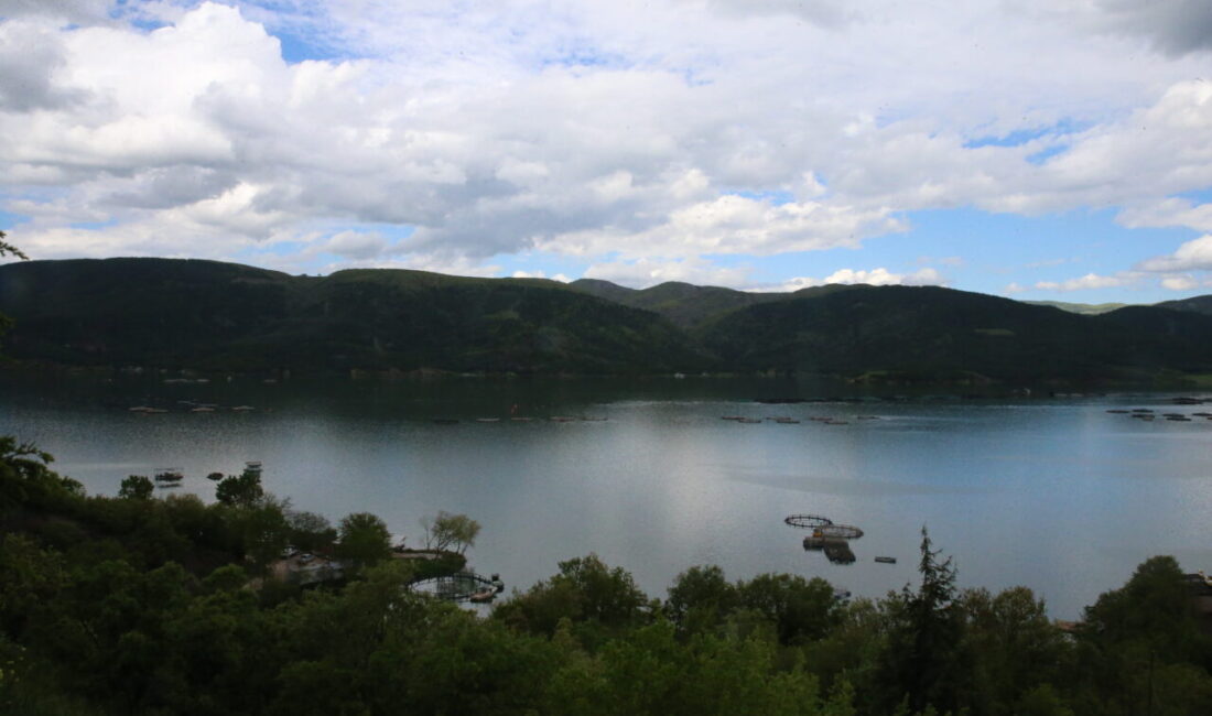 TOKAT (AA) – Tokat'taki Almus Baraj Gölü'nün doluluğu, kış ve