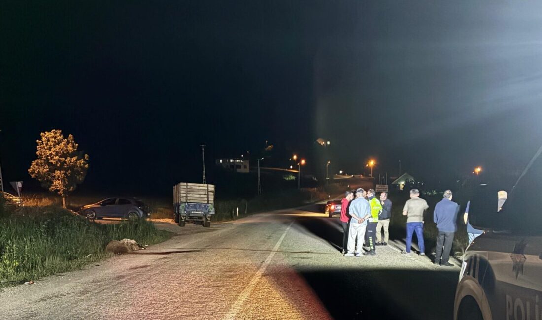 TOKAT (AA) – Tokat'ın Niksar ilçesinde otomobilin koyun sürüsüne çarpması