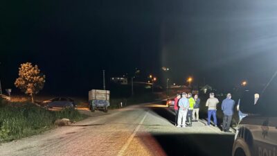 TOKAT (AA) – Tokat'ın Niksar ilçesinde otomobilin koyun sürüsüne çarpması