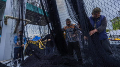 TRABZON (AA) – Trabzon'da balıkçılar, av sezonunun sona ermesinin ardından