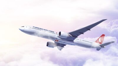 - Türk Hava Yolları Yönetim Kurulu ve İcra Komitesi Başkanı