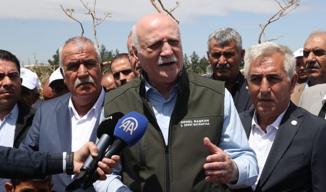 - "(Gaziantep'te etkili olan olumsuz hava) 380 bin dekar alan