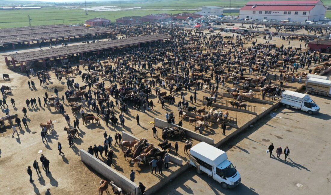 - Besiciler ile alıcılar arasında zaman zaman sıkı pazarlıkların yaşandığı