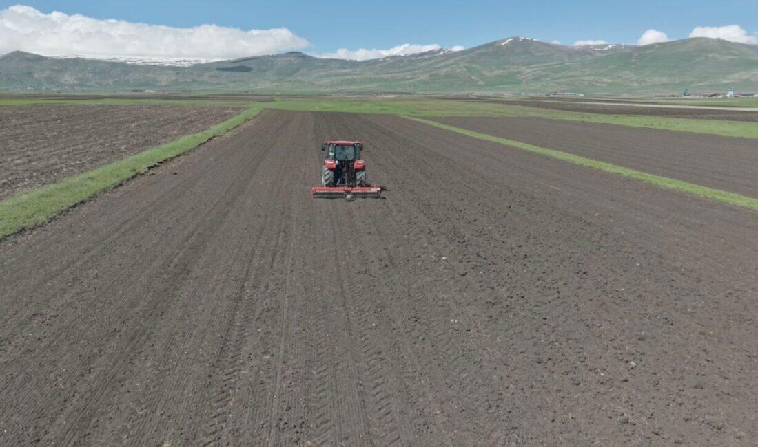ARDAHAN (AA) – Ardahan'da uzun süren kış mevsiminin ardından havaların