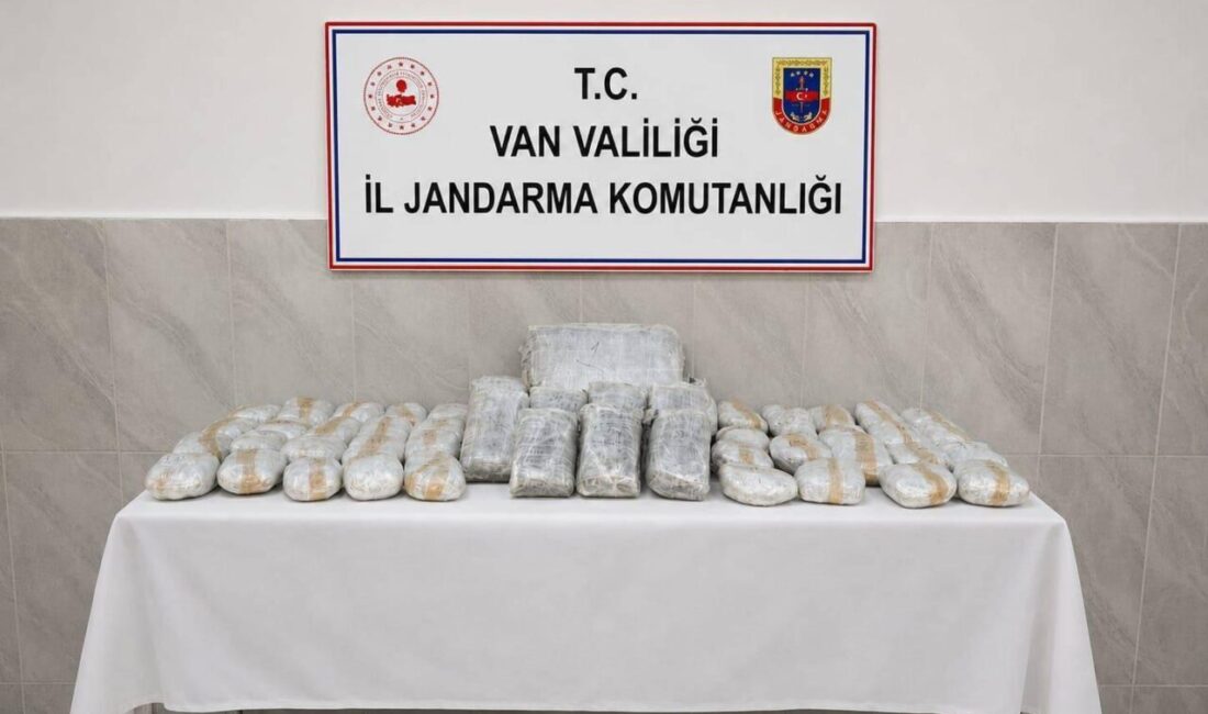 VAN (AA) – Van'da jandarma ekiplerince geçen hafta gerçekleştirilen operasyonlarda