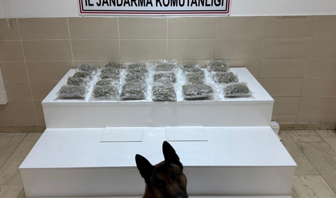 VAN (AA) – Van'da jandarma ekiplerince gerçekleştirilen operasyonlarda 443 kilo