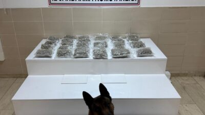 VAN (AA) – Van'da jandarma ekiplerince gerçekleştirilen operasyonlarda 443 kilo