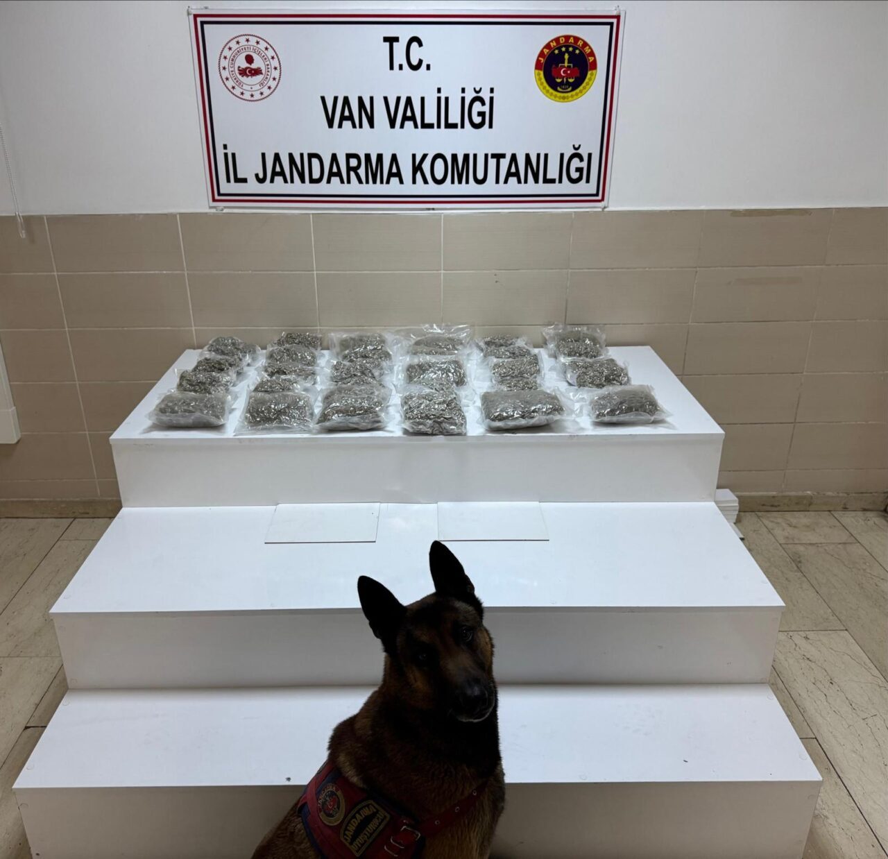 VAN (AA) – Van'da jandarma ekiplerince gerçekleştirilen operasyonlarda 443 kilo
