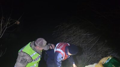 VAN (AA) – Van'da kaçak inci kefali avladığı tespit edilen