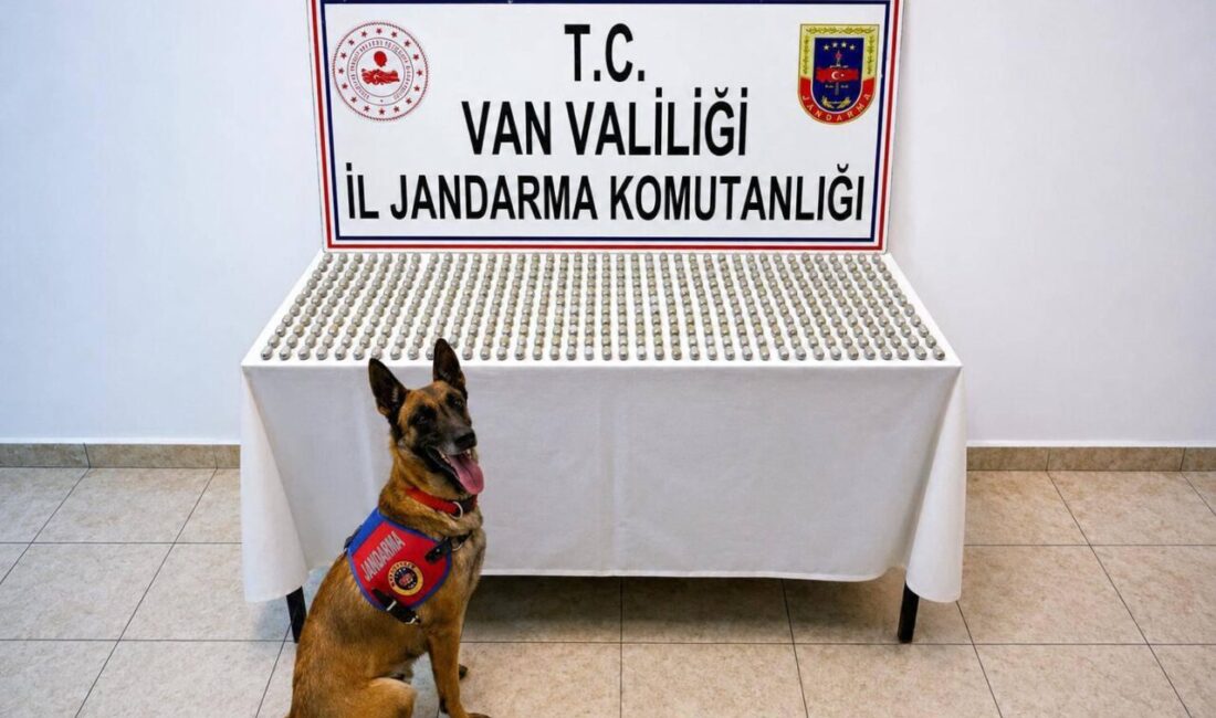 VAN (AA) – Van'da, kapsüller halindeki 3 kilo 374 gram
