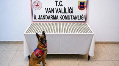 VAN (AA) – Van'da, kapsüller halindeki 3 kilo 374 gram