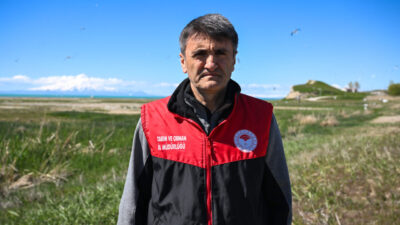 VAN (AA) – Van Gölü'nde yaşayan ve üreme döneminde tatlı
