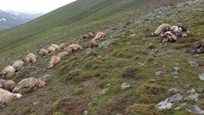 VAN (AA) – Van'ın Çaldıran ilçesinde yıldırım isabet eden 30