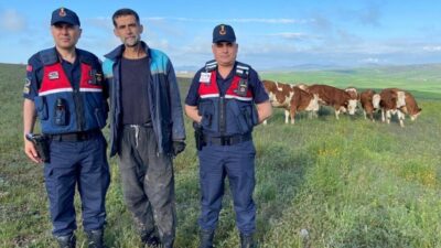 YOZGAT (AA) – Yozgat'ın Sorgun ilçesinde kaybolan 7 büyükbaş hayvan,