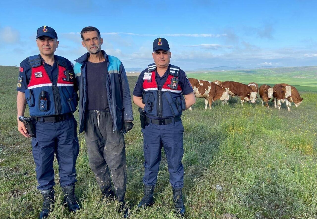 YOZGAT (AA) – Yozgat'ın Sorgun ilçesinde kaybolan 7 büyükbaş hayvan,