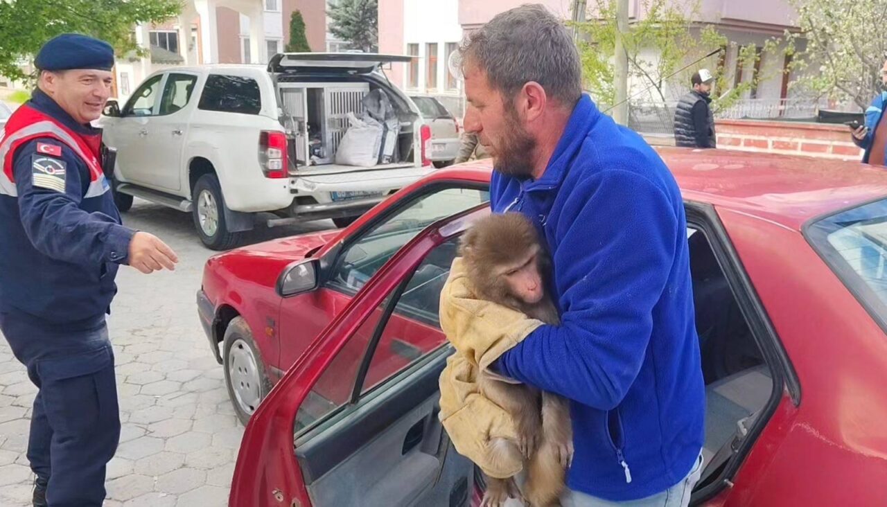 YOZGAT (AA) – Yozgat'ın Sarıkaya ilçesinde vatandaşlar tarafından köy yolunda