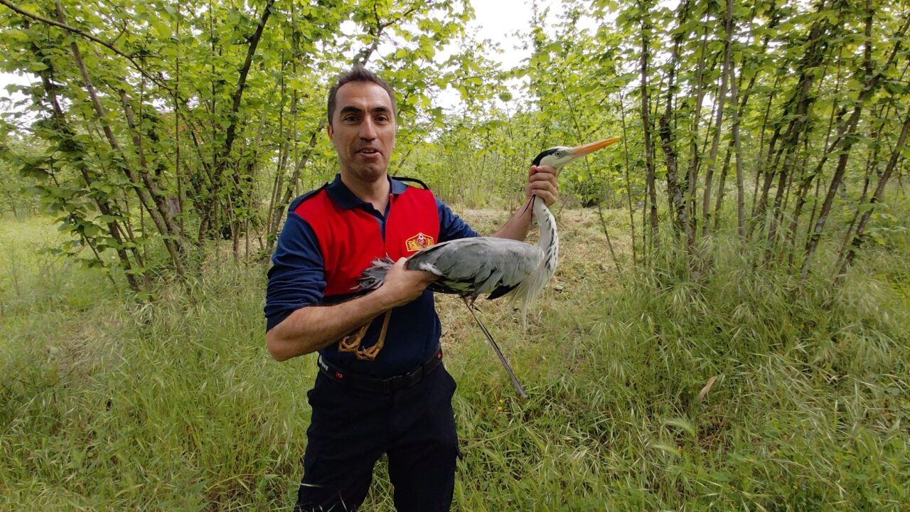 ZONGULDAK (AA) – Zonguldak'ın Alaplı ilçesinde derede yaralı halde bulunan