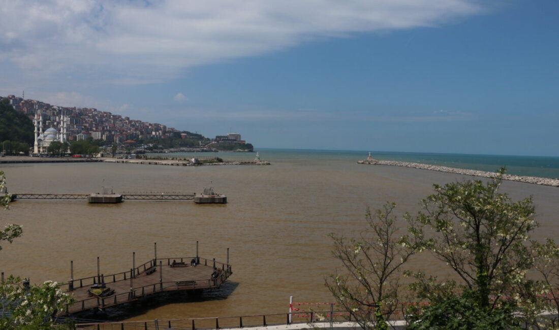 ZONGULDAK (AA) – Zonguldak'ta yağışın ardından derelerin taşıdığı çamurlu su