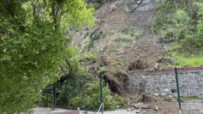 ZONGULDAK (AA) – Zonguldak'ta meydana gelen heyelanda ağaçların devrilmesi sonucu