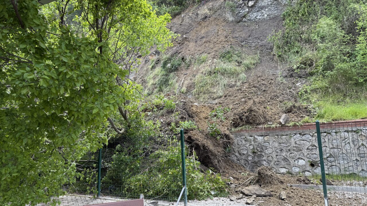 ZONGULDAK (AA) – Zonguldak'ta meydana gelen heyelanda ağaçların devrilmesi sonucu