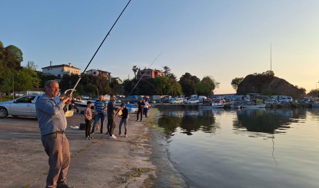 ZONGULDAK (AA) – Zonguldak'ın Alaplı ilçesinde istavrit bolluğu, olta balıkçılarını