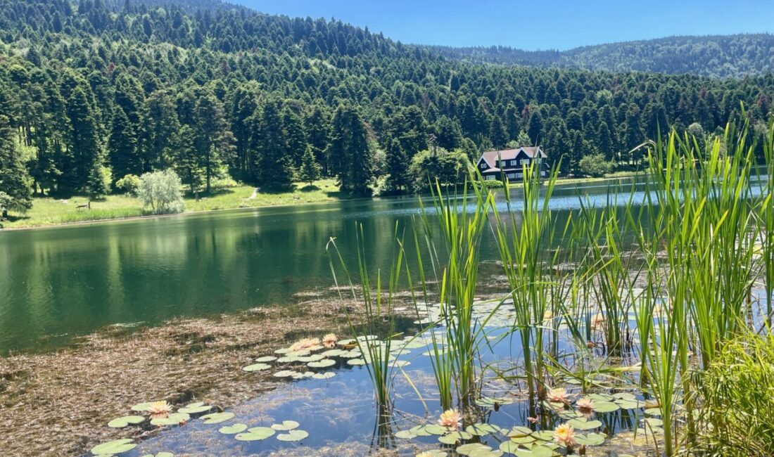 BOLU (AA) – Bolu'nun doğal güzellikleriyle ünlü Gölcük Tabiat Parkı