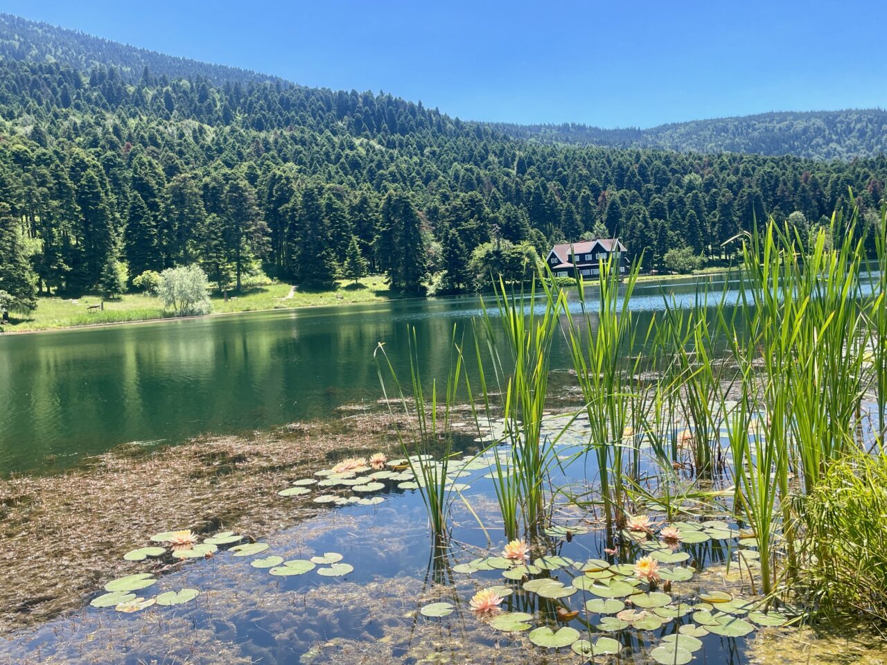 BOLU (AA) – Bolu'nun doğal güzellikleriyle ünlü Gölcük Tabiat Parkı
