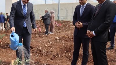 ADANA (AA) – Adana'da hükümlüler tarafından 5 bin zeytin fidanı