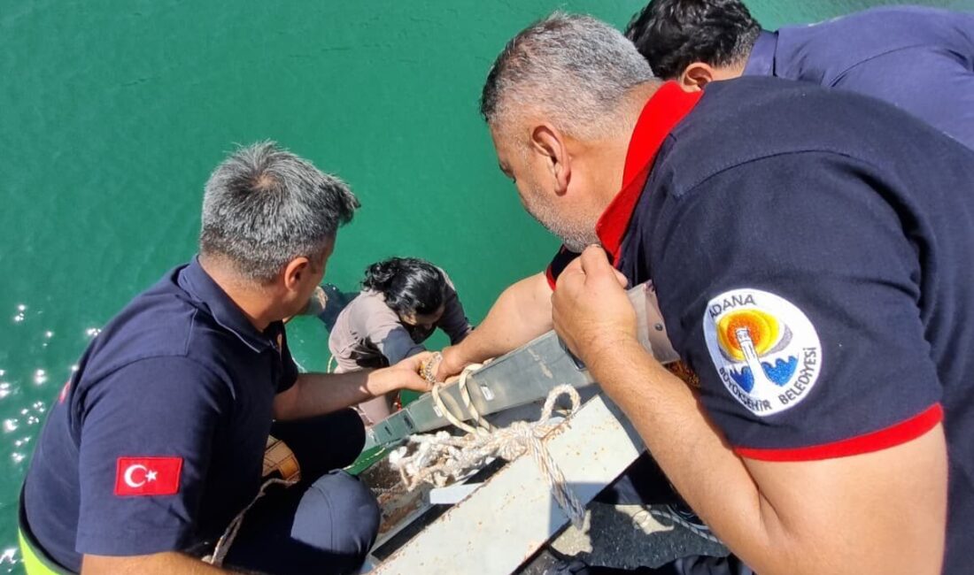 ADANA (AA) – Adana'nın Aladağ ilçesinde köprüden nehre düşen kadın,