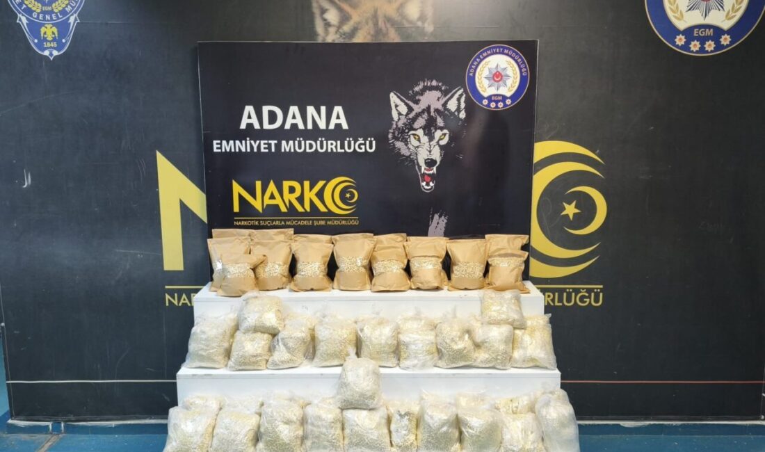 ADANA (AA) – Adana'da 408 bin 235 uyuşturucu hap ele