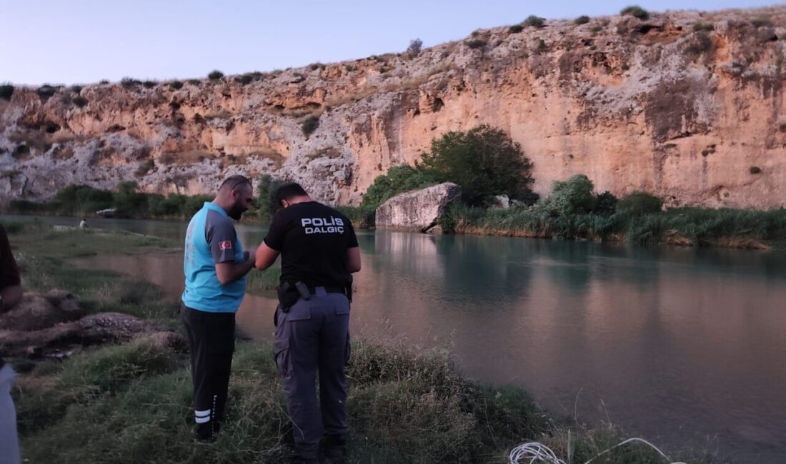 ADIYAMAN (AA) – Adıyaman'ın Besni ilçesinde, serinlemek için suya giren